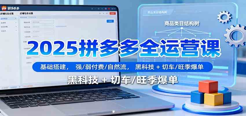2025拼多多全运营课：基础搭建，强/弱付费/自然流，黑科技 + 切车/旺季爆单-驿想项目网