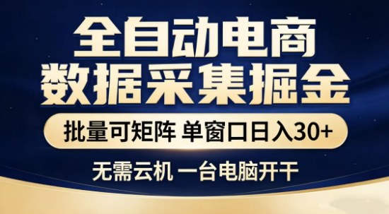 独家电商数据全自动采集项目，批量可矩阵，单窗口轻松日入3张+【揭秘】-驿想项目网
