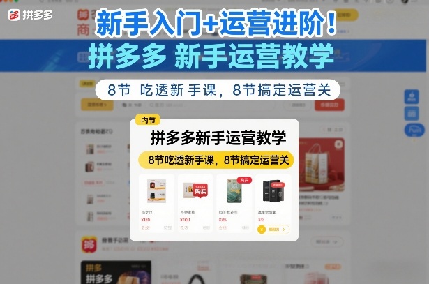 新手入门+运营进阶！拼多多新手运营教学，8节吃透新手课，8节搞定运营关-驿想项目网