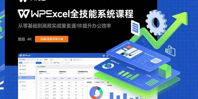 图片[1]-（15873期）WPS Excel全技能系统课程：从零基础到高阶实战全覆盖，全面提升办公效率-驿想项目网