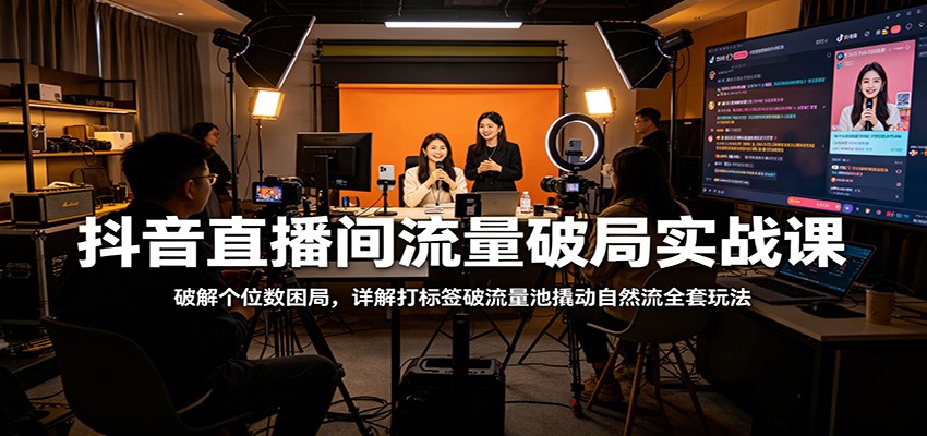 抖音直播间流量破局实战课：破解个位数困局，详解打标签破流量池撬动自然流全套玩法-驿想项目网