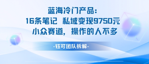 蓝海项目：16条笔记私域变现9750米小众赛道操作的人不多-驿想项目网