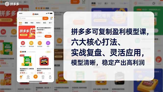 （16952期）拼多多可复制盈利模型课，六大核心打法、实战复盘、灵活应用，模型清晰，稳定产出高利润-驿想项目网