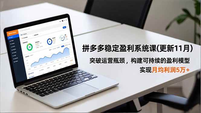 （16641期）拼多多稳定盈利系统课(更新11月)，突破运营瓶颈，构建可持续的盈利模型，实现月均利润5万+-驿想项目网
