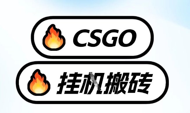 真全网独家CSGO挂G，最新玩法,单日捡漏1K+，不用电脑，不用打游戏【揭秘】-驿想项目网