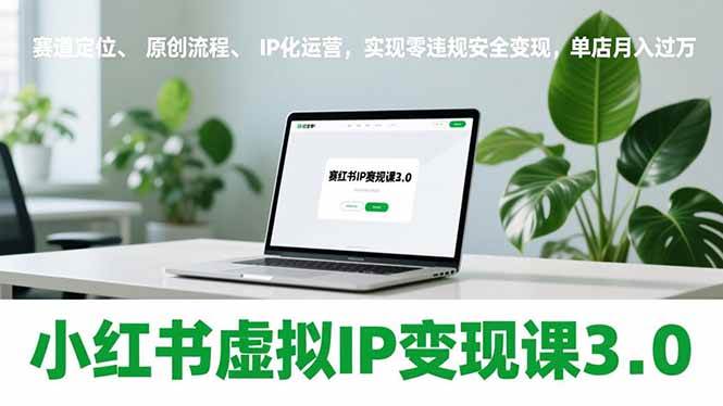 （17029期）小红书虚拟IP变现课3.0，赛道定位、原创流程、IP化运营，实现零违规安全变现，单店月入过万-驿想项目网
