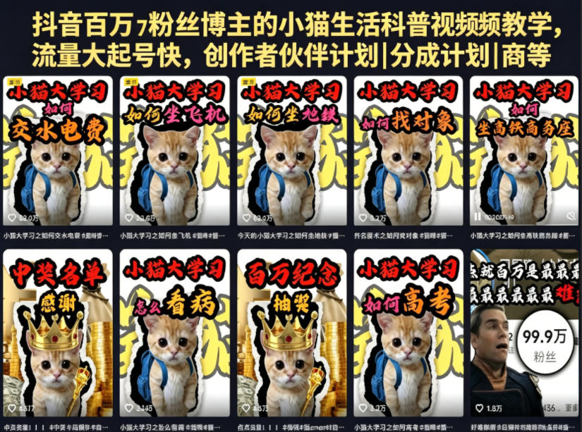 抖音百万粉丝博主的小猫生活科普视频教学，流量大起号快，创作者伙伴计划|分成计划|商单|收徒等-驿想项目网