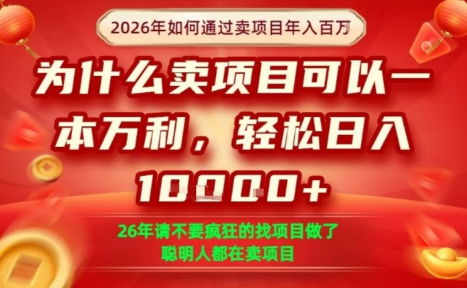 一单净利润1K+，26年想年入100个W，死磕卖项目就够了【揭秘】-驿想项目网