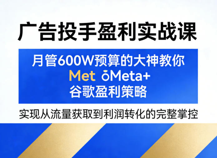 广告投手盈利实战课，月管600W预算的大神教你Meta+谷歌盈利策略，实现从流量获取到利润转化的完整掌控-驿想项目网