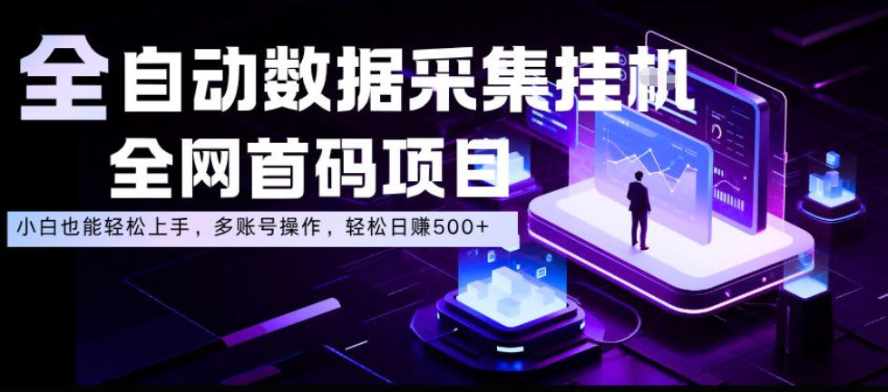 全自动数据采集挂G,全网首码项目,简单易操作,小白也能轻松上手,多账号操作,轻松日入500+【揭秘】-驿想项目网
