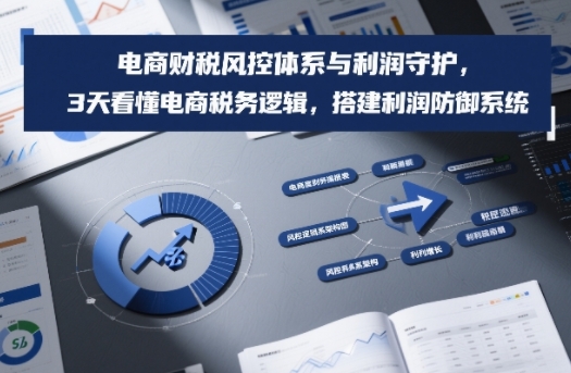 电商财税风控体系与利润守护，3天看懂电商税务逻辑，搭建利润防御系统-驿想项目网