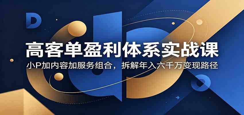 高客单盈利体系实战课:小P加内容加服务组合,拆解年入六千万变现路径-驿想项目网