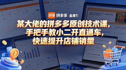 某大佬的拼多多原创技术课，手把手教小二开直通车，快速提升店铺销量-驿想项目网