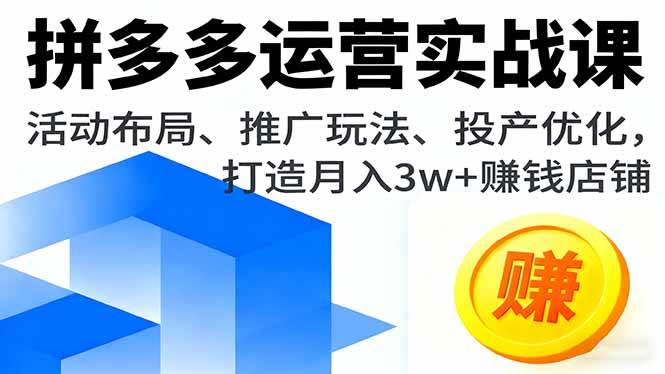（16135期）拼多多运营实战课，活动布局、推广玩法、投产优化，打造月入3w+赚钱店铺-驿想项目网