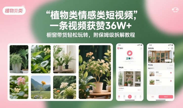 植物类情感类短视频，一条视频获赞36W+，橱窗带货轻松玩转，附保姆级拆解教程-驿想项目网