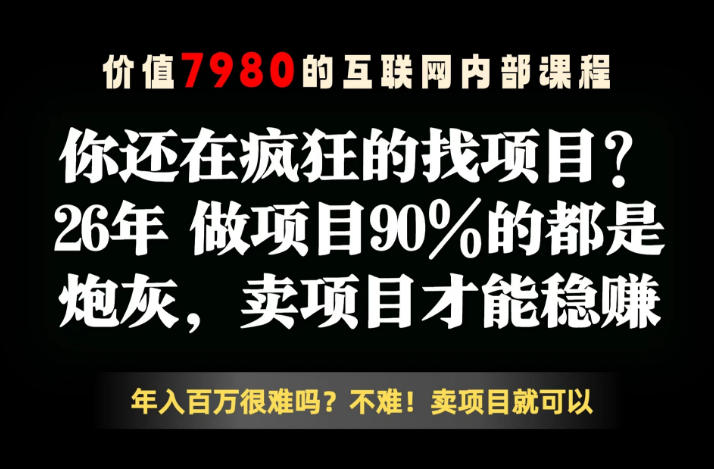 26年请不要疯狂的找项目了，卖项目远比你想象的暴利，你也可以月入10W+【揭秘】-驿想项目网