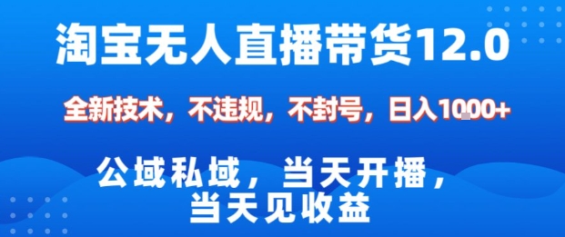 淘宝无人直播12.0，公域私域技术，不封号，不违规布局双十一流量风口，日入1k（独家技术）【揭秘】-驿想项目网