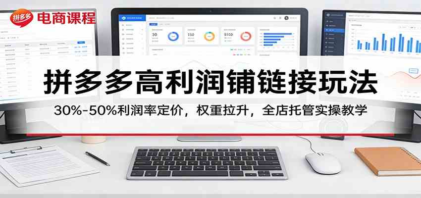 拼多多高利润铺链接玩法：30%–50%利润率定价，权重拉升，全店托管实操教学-驿想项目网