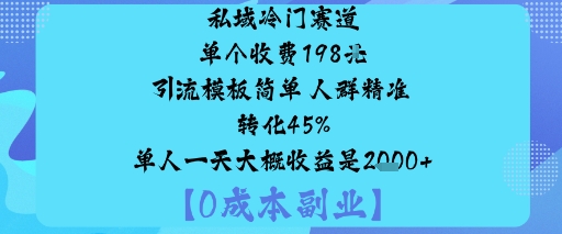 私域冷门赛道:单个收费198米引流模板简单人群精准转化45%单人一天大概收益是1k+-驿想项目网