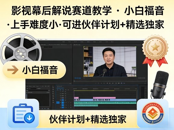 某大佬的影视幕后解说赛道教学，小白福音，上手难度小，可进伙伴计划+精选独家-驿想项目网