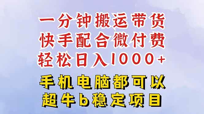 （16285期）快手黑科技一分钟搬运带货，一刀不剪过原创，微付费投流玩法，轻松日入…-驿想项目网