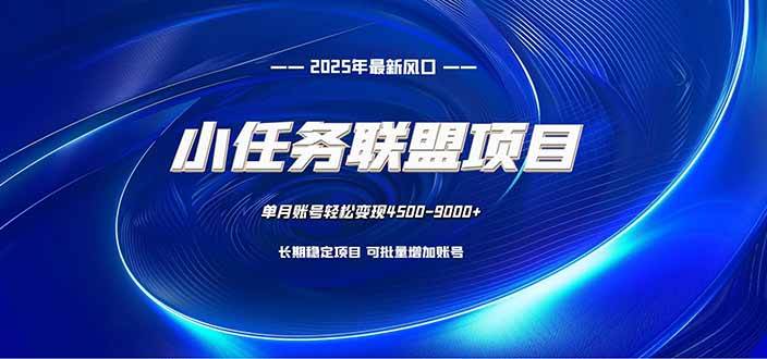（16521期）小任务联盟项目：一台电脑每天只需10分钟，轻松简单稳定-驿想项目网