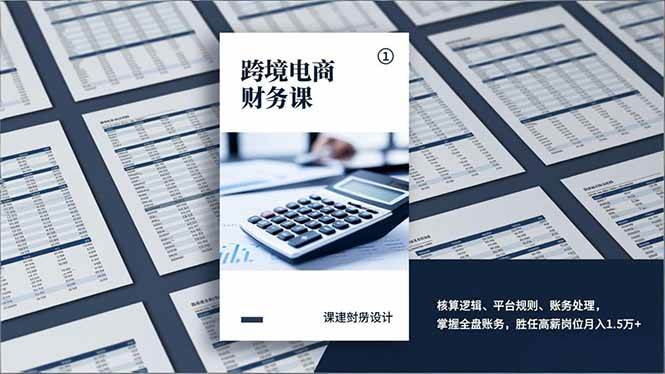 （17036期）跨境电商财务课，核算逻辑、平台规则、账务处理，掌握全盘账务，胜任高薪岗位月入1.5万+-驿想项目网