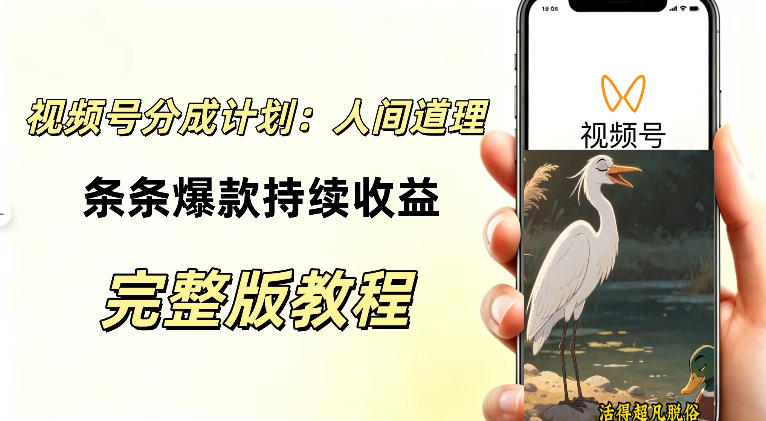 视频号新玩法之AI动漫画风励志视频,不用会画画、不用拍摄,持续化收益,详细拆解-驿想项目网