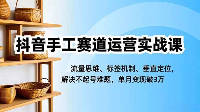 (16667期)抖音手工赛道运营实战课,流量思维、标签机制、垂直定位,解决不起号难题,单月变现破3万-驿想项目网