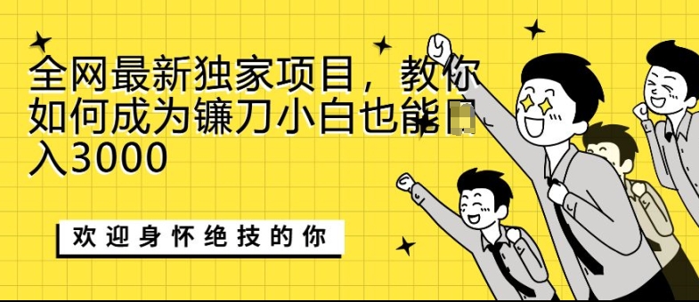 全网最新独家项目，教你如何成为镰刀小白也能日入上K-驿想项目网