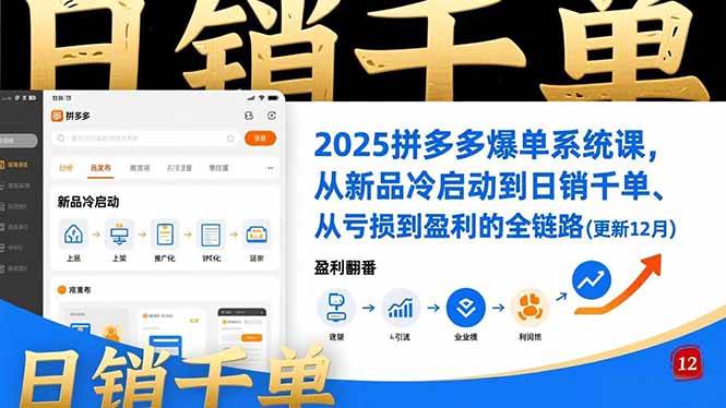 （16894期）2025拼多多爆单系统课，从新品冷启动到日销千单、从亏损到盈利的全链路（更新12月）-驿想项目网