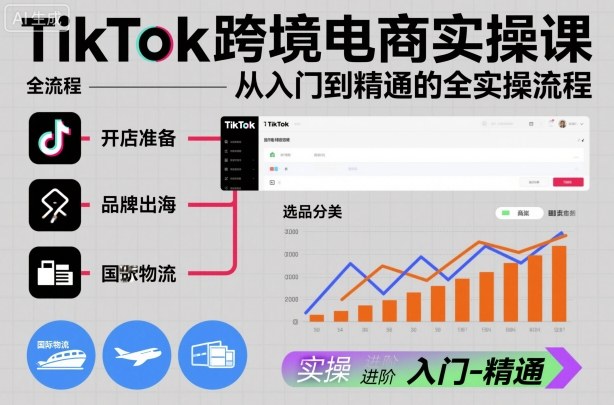 TikTok跨境电商实操课，从入门到精通的全实操流程-驿想项目网