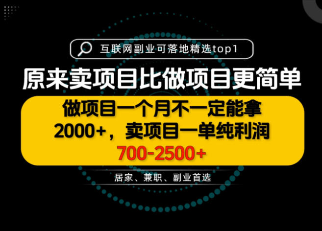 一单利润700-2.5K+,为什么我们要卖项目而不是做项目,我们普通人应该怎样开始?【揭秘】-驿想项目网