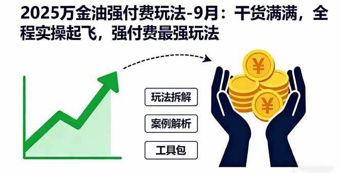 （16202期）2025万金油强付费玩法-9月：干货满满，全程实操起飞，强付费最强玩法-驿想项目网