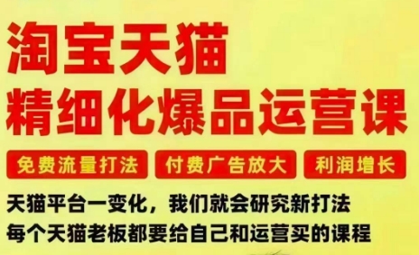 淘宝天猫精细化爆品运营课，免费流量打法-付费广告放大-利润增长-三大核心痛点，一次全部解决-驿想项目网