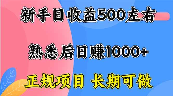 （16132期）新手日收益500+ 正规项目 长期可做-驿想项目网