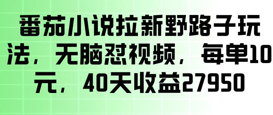 番茄小说拉新野路子玩法,无脑怼视频,玩法简单、见效快,每单10米,40天收益27950-驿想项目网