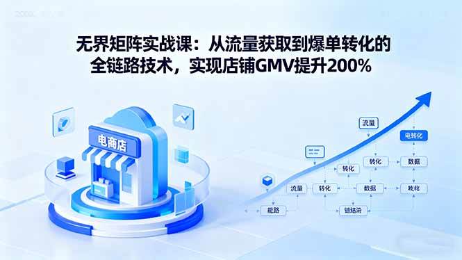 （16104期）无界矩阵实战课：从流量获取到爆单转化的全链路技术，实现店铺GMV提升200%-驿想项目网