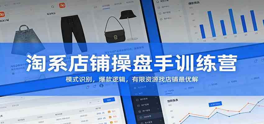 淘系店铺操盘手训练营：模式识别，爆款逻辑，有限资源找店铺最优解-驿想项目网