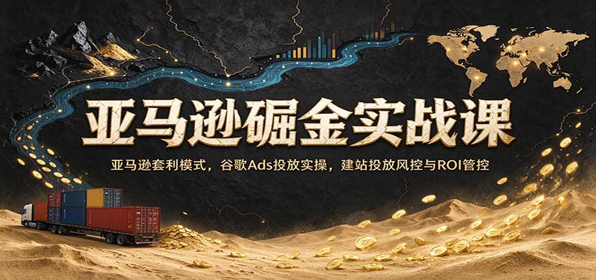 亚马逊掘金实战课：亚马逊套利模式，谷歌Ads投放实操，建站投放风控与ROI管控-驿想项目网