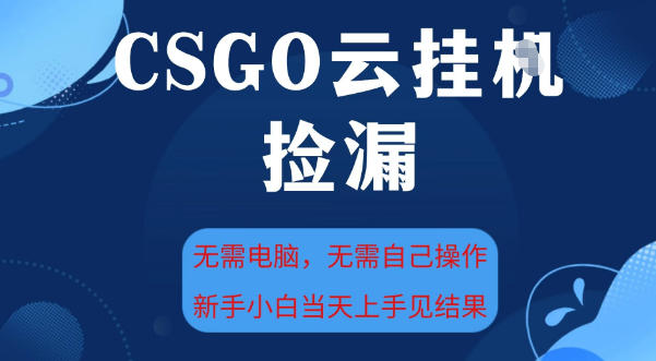 CSGO云挂G全自动捡漏，最新独家玩法，无需电脑操作，新手小白日入5张+【揭秘】-驿想项目网