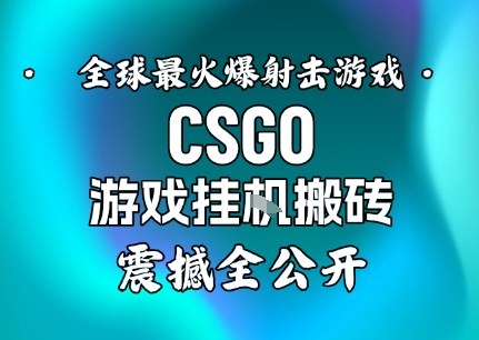 【年底大揭秘】基于全球最火爆的射击CSGO游戏挂G搬砖，日入5张+，震撼公开-驿想项目网