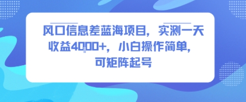 风口信息差蓝海项目，实测一天收益4k+，小白操作简单，可矩阵起号-驿想项目网