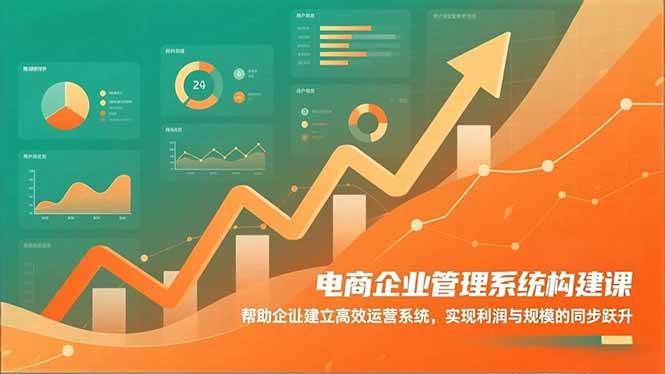 （16643期）电商企业管理系统构建课：帮助企业建立高效运营系统，实现利润与规模的同步跃升-驿想项目网