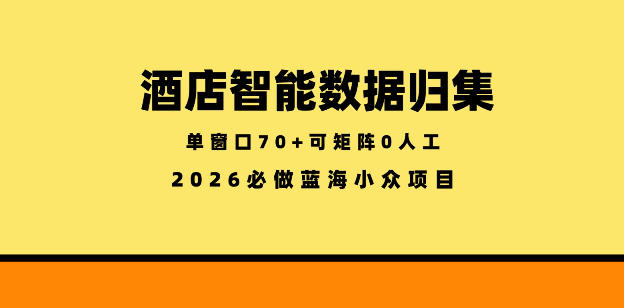 酒店智能数据归集，小众蓝海已经稳定半年之久，单窗口70+零成本矩阵开干【揭秘】-驿想项目网