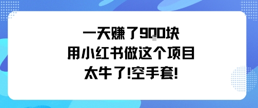一天挣了9张用小红书做这个项目太牛了，空手套-驿想项目网