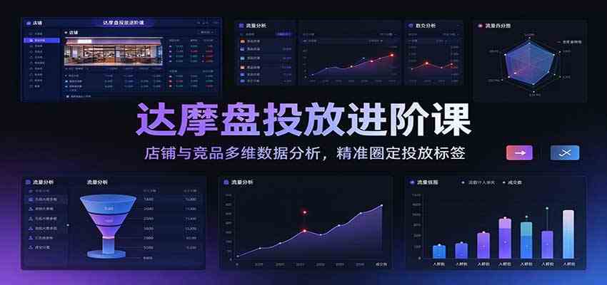 达摩盘投放进阶课：店铺与竞品多维数据分析，精准圈定投放标签-驿想项目网