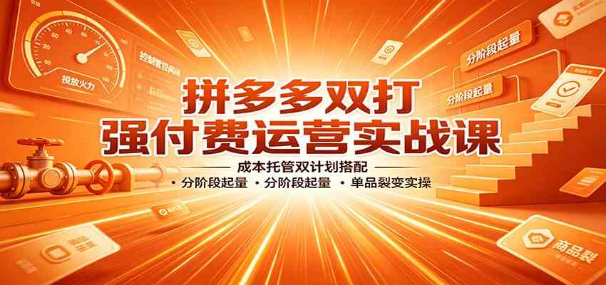 拼多多双打强付费运营实战课：成本托管双计划搭配，分阶段起量，单品裂变实操-驿想项目网