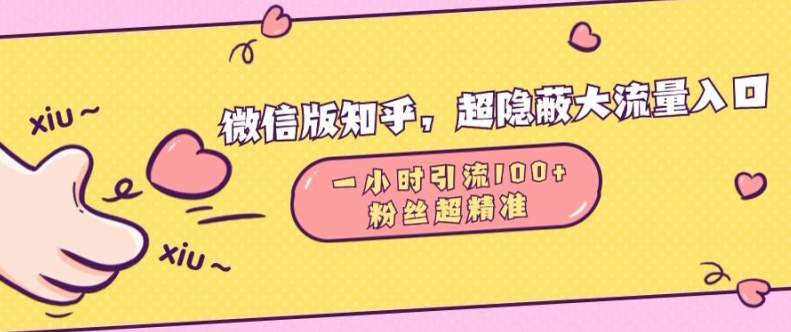 微信版知乎，超隐蔽流量入口1小时引流100人，粉丝质量超高【揭秘】-驿想项目网
