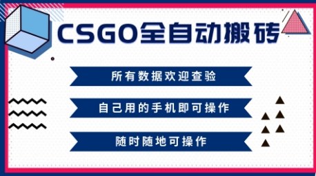 CSGO全自动搬砖,年底钱回家好项目,当天可拿到结果,新手小白轻松月入1W+【揭秘】-驿想项目网